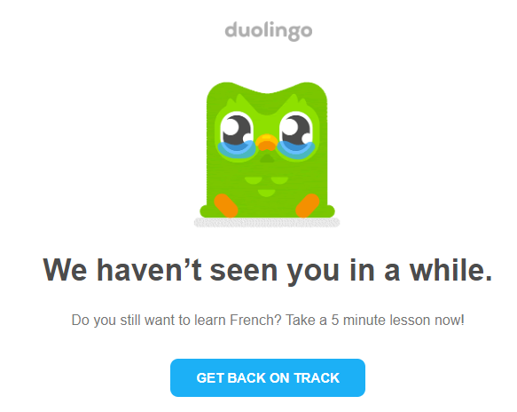 Email from Duolingo sending a sad owl to users who didn't complete their practice in a week or so