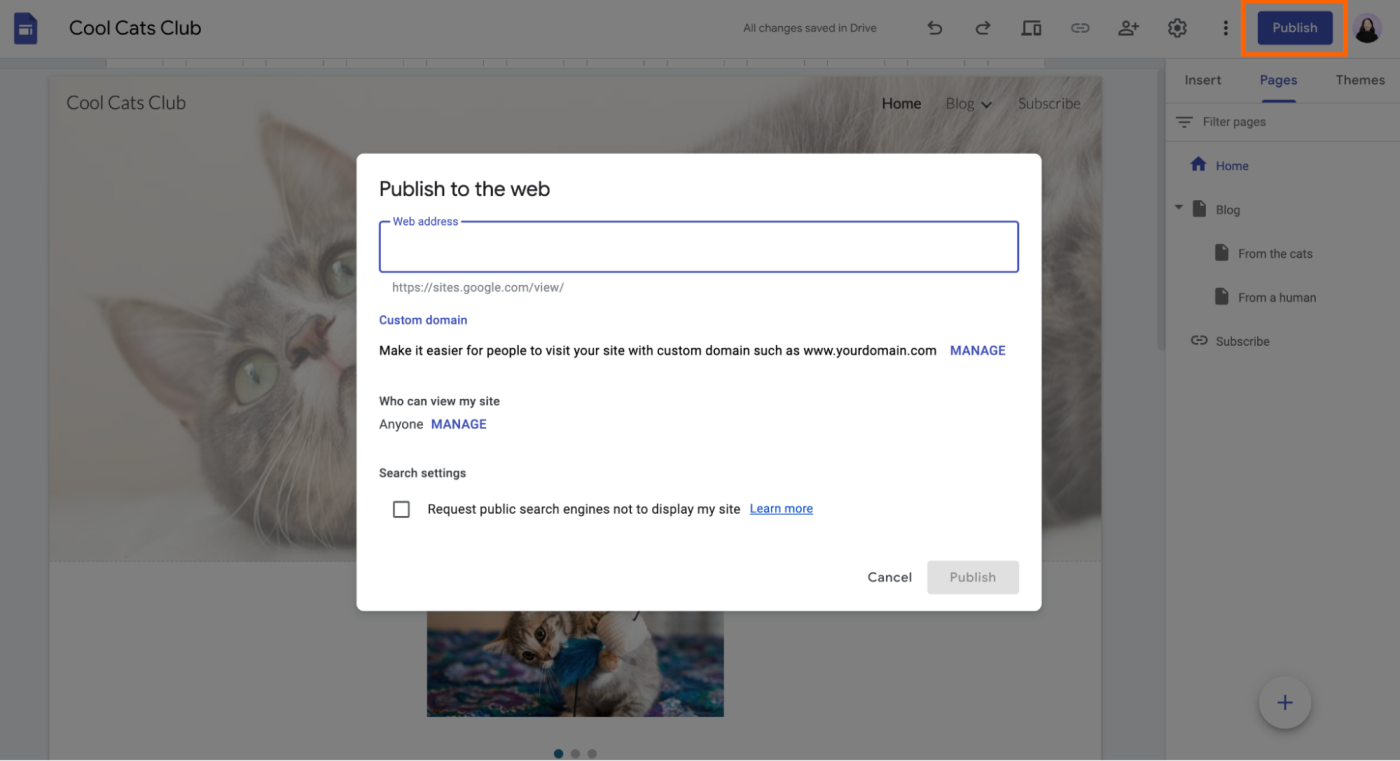How to publish a website and manage the site visibility in Google Sites. 