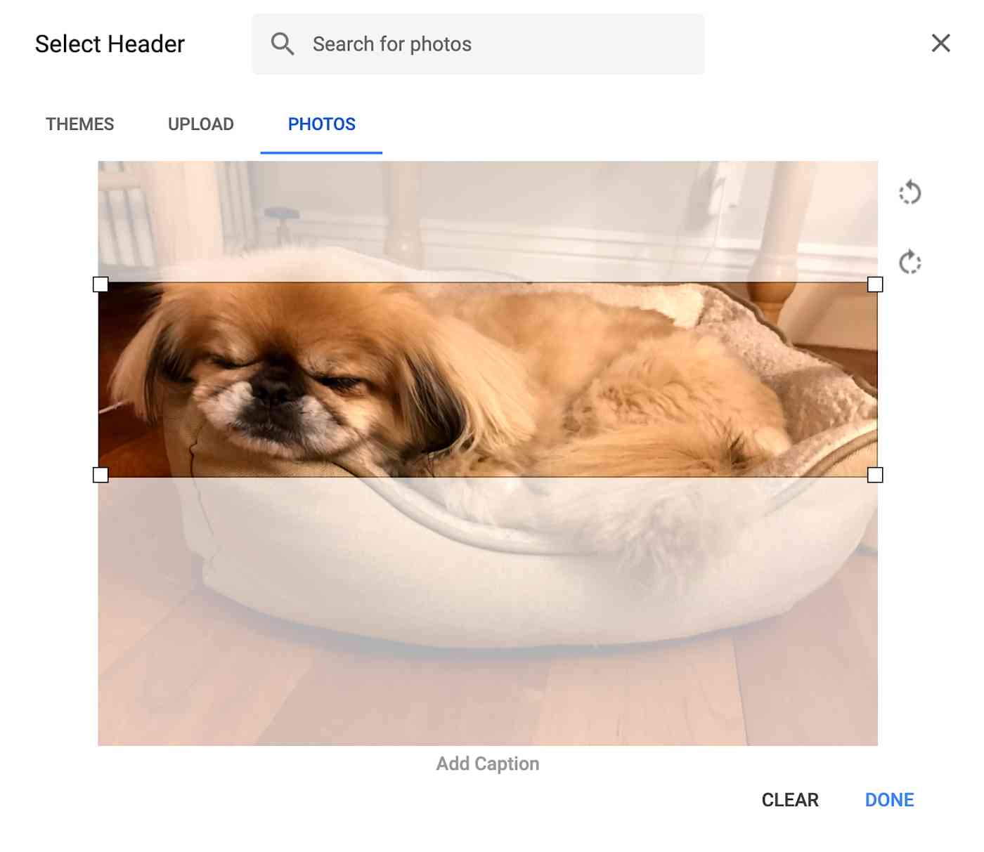 customize-google-forms-header-image-06-winston-horizontal A horizontal image as a header
