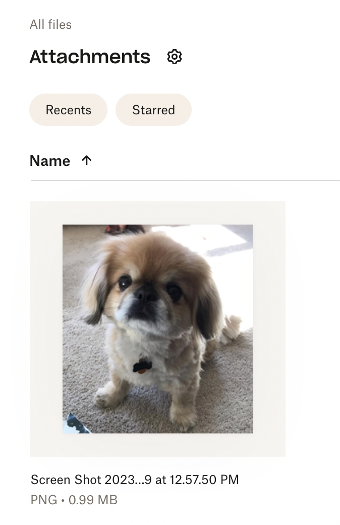 An attachment of a picture of Winston the wonder pup in a Dropbox folder called Attachments.