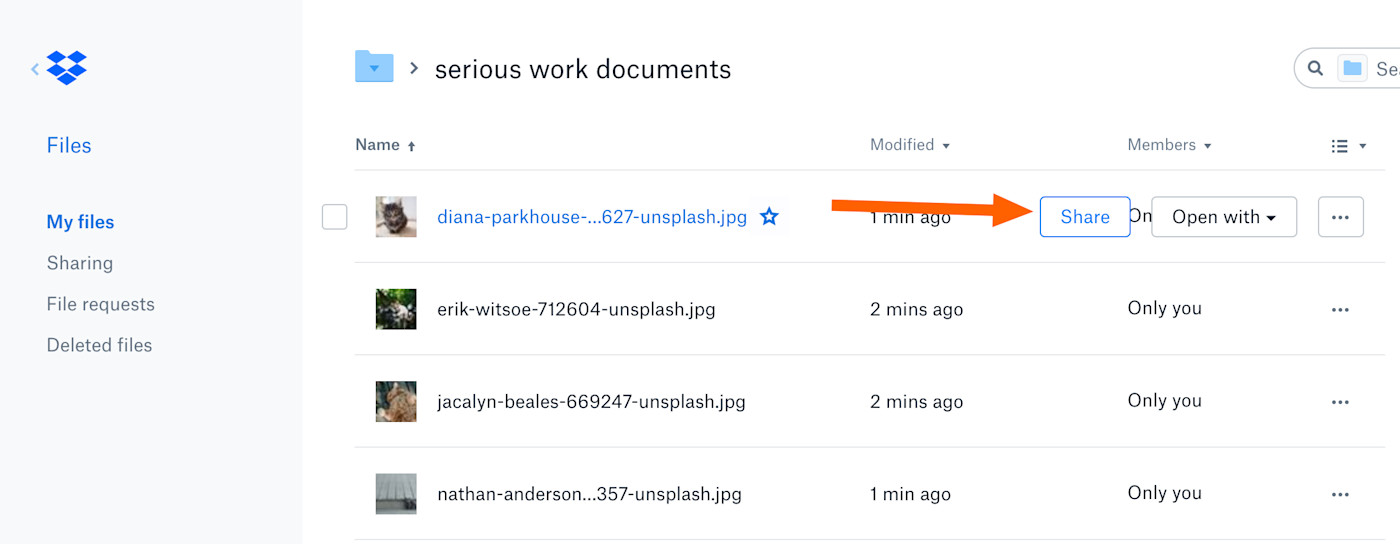 best dropbox porn links