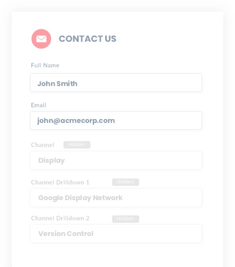 A screenshot of a completed form, showing a lead's name and email address as they filled it out, plus automatically generated channel information for "Display," "Google Display Network," and "Version Control."