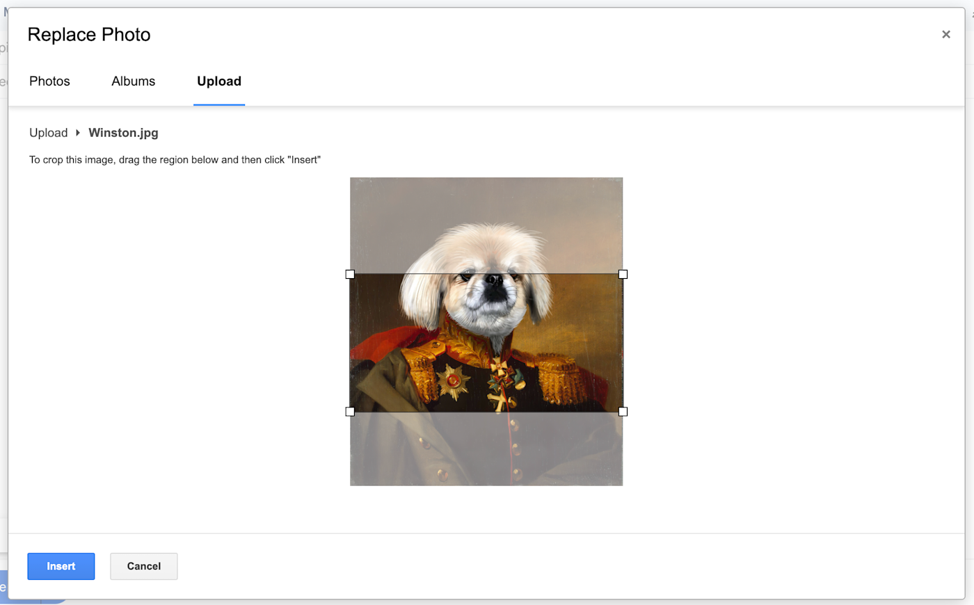 Replacing an image in a Gmail newsletter