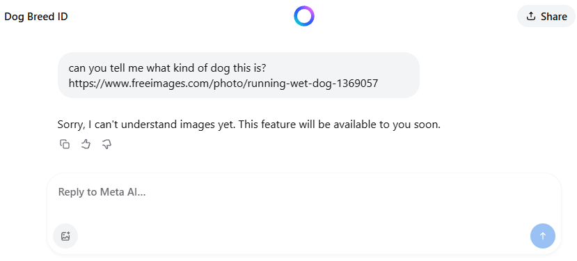 Meta AI isn't able to view images directly