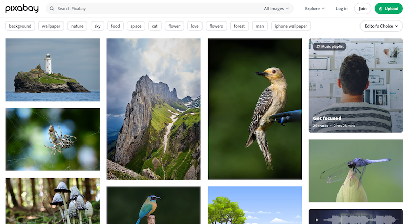 The 8 best free stock photo sites