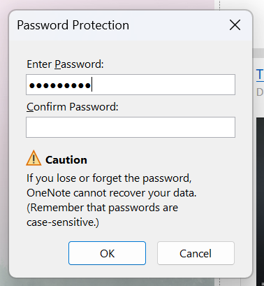 Password protection in OneNote