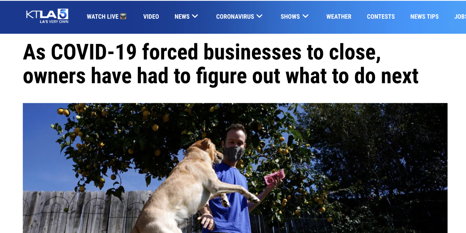Hero image of a screenshot of a headline: "As COVID-19 forced businesses to close, owners have had to figure out what to do next"