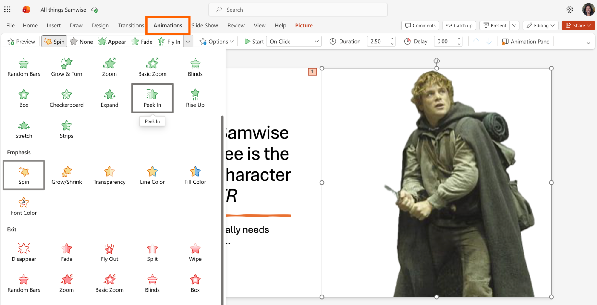 Expanded view of animations in PowerPoint.