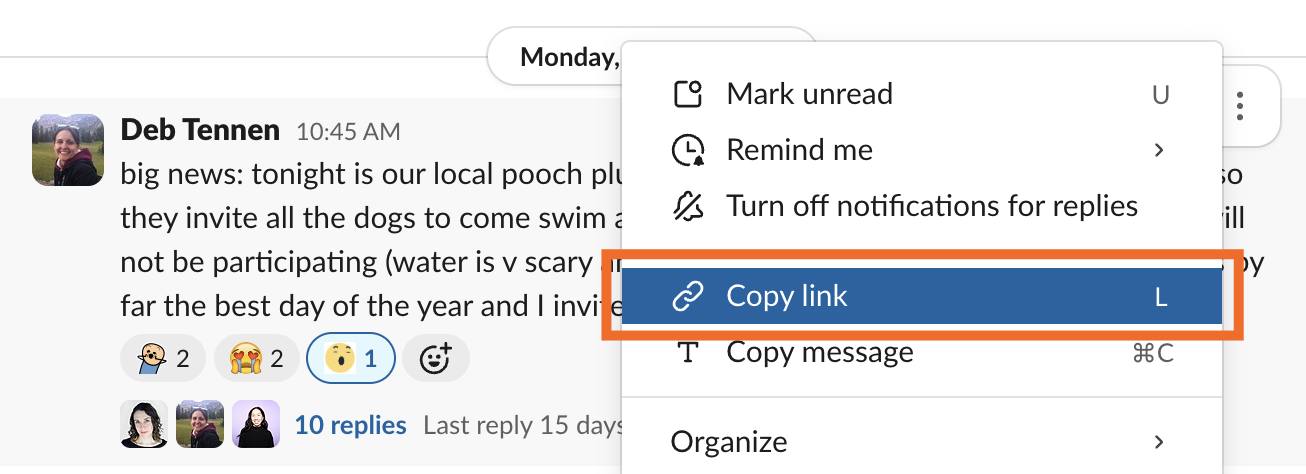 Expanded view of the more actions menu for a Slack message with copy link highlighted.