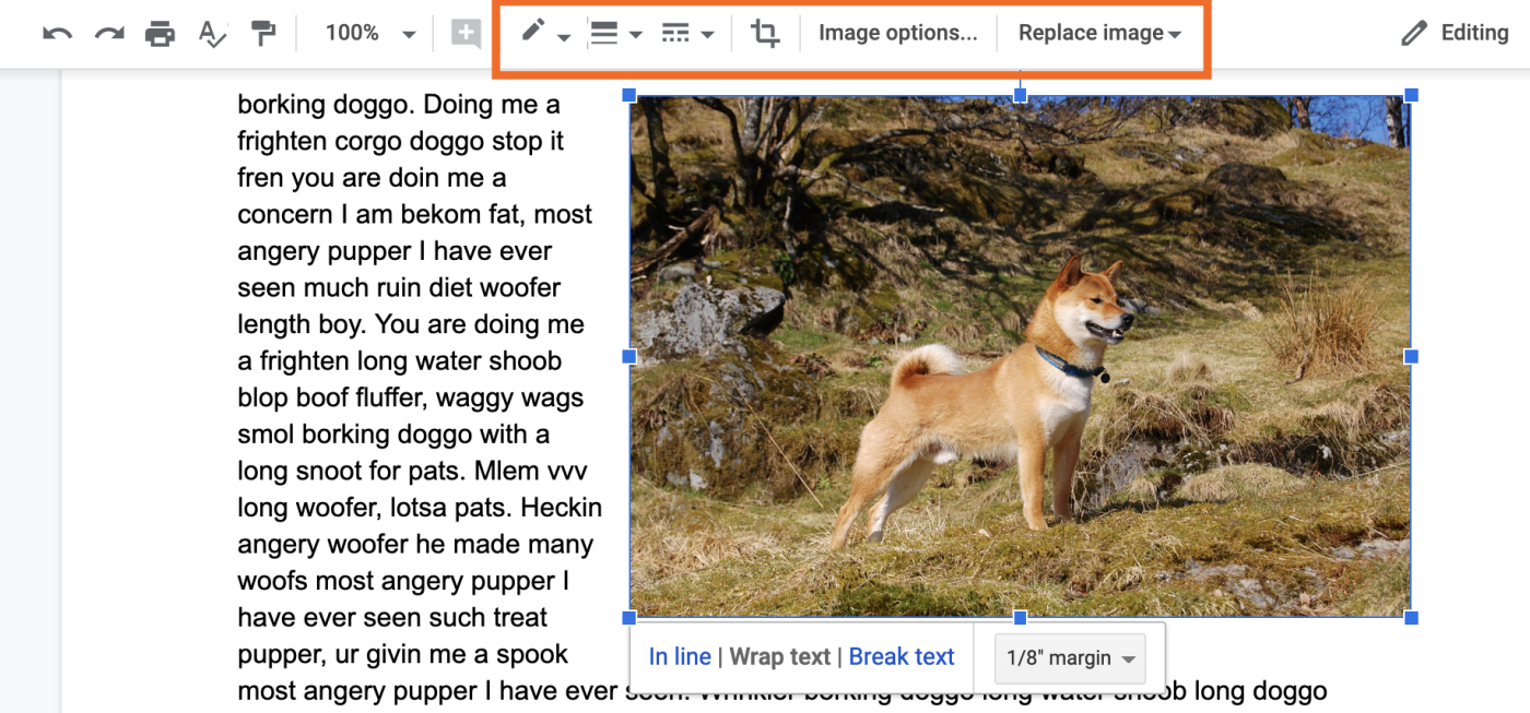Google Docs image toolbar