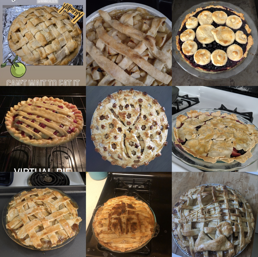 Picture of 9 pies