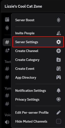 Server Settings in Discord