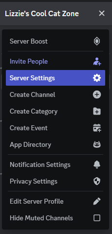 Server Settings in Discord