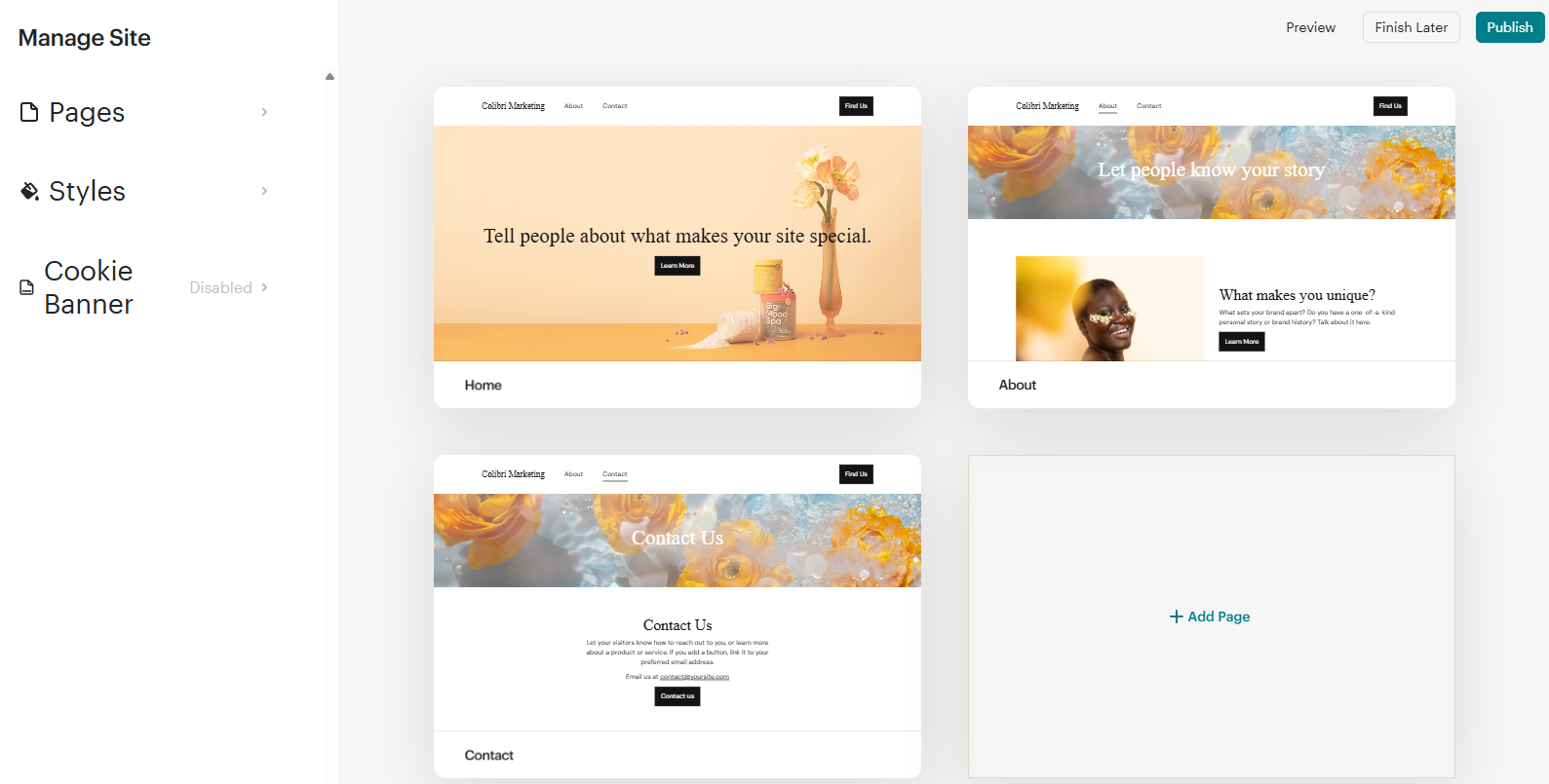 Building a website in Mailchimp