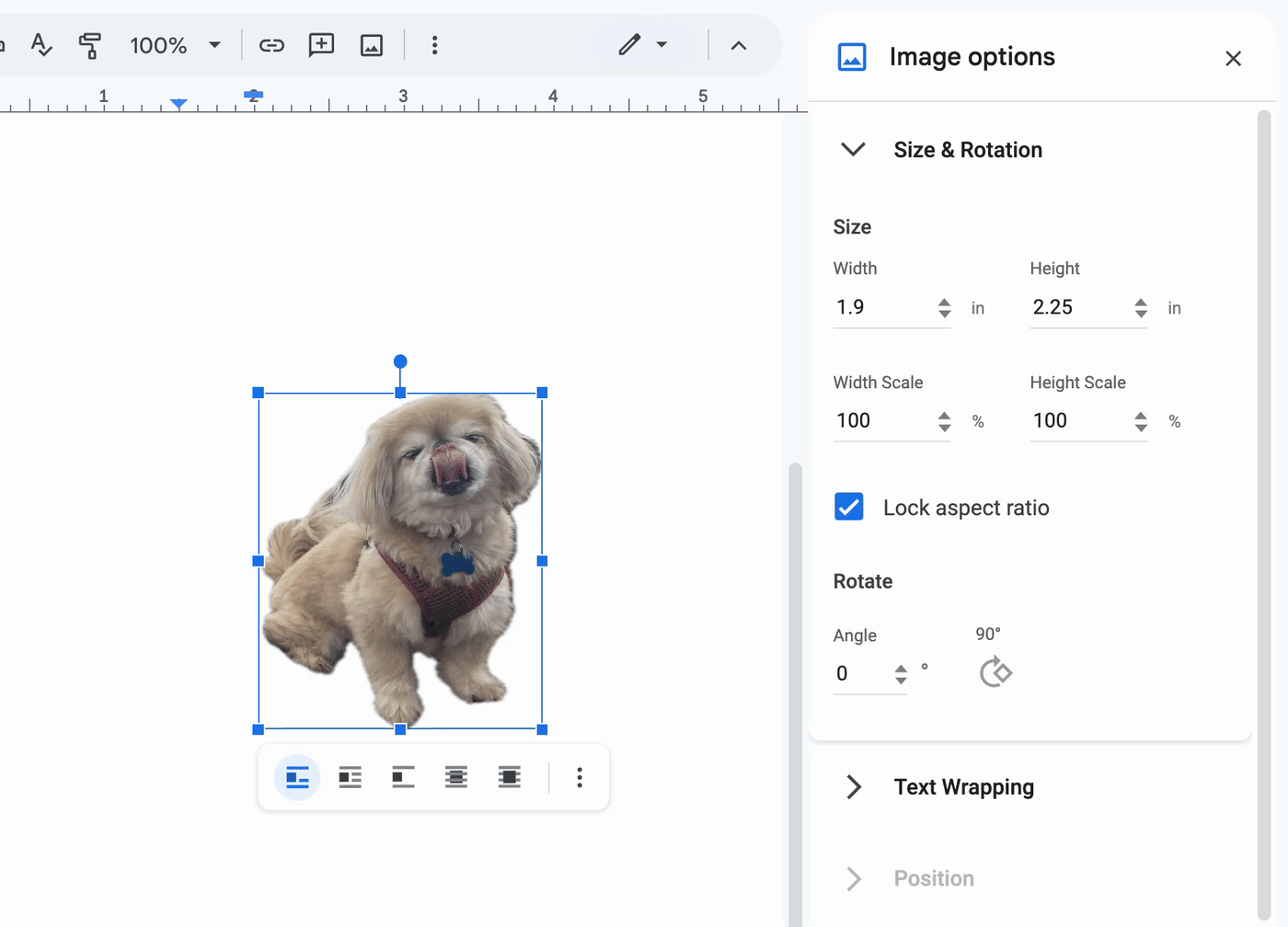 Demo of how to rotate an image 90 degrees at a time using the image options side panel in Google Docs. 