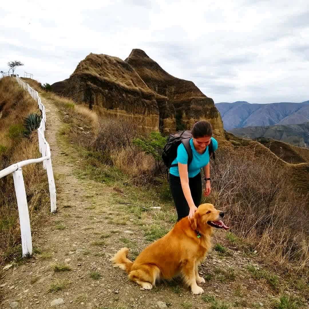 A woman petting a Golden Retriever dog on a mountain trail.