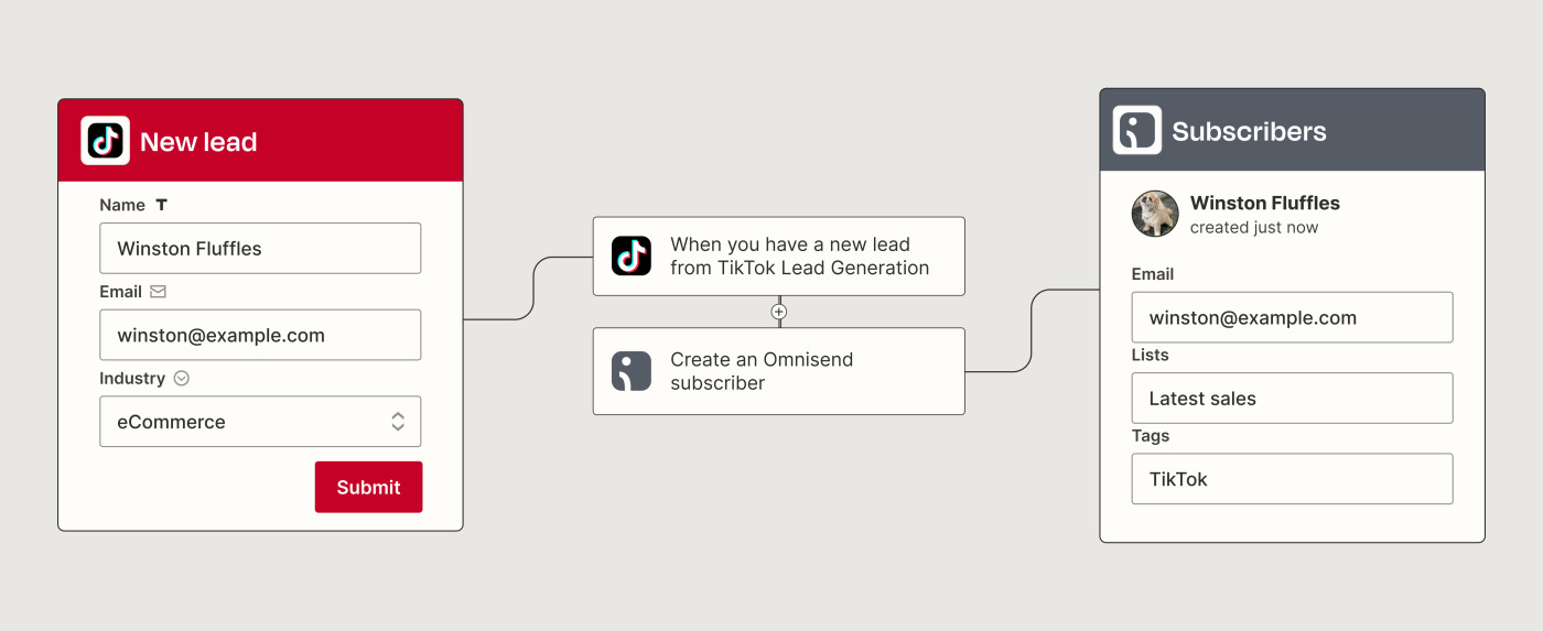 A Zapier automated workflow that adds new TikTok Lead Generation leads as Omnisend subscribers.