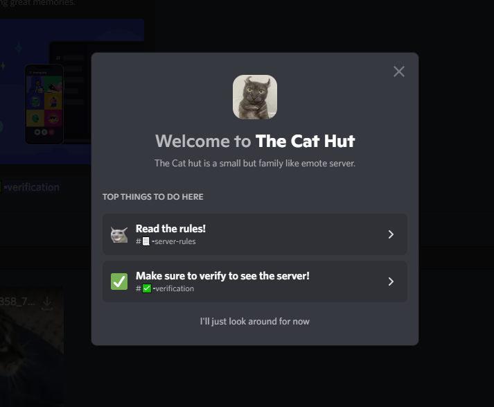 Discord Cute Server Template