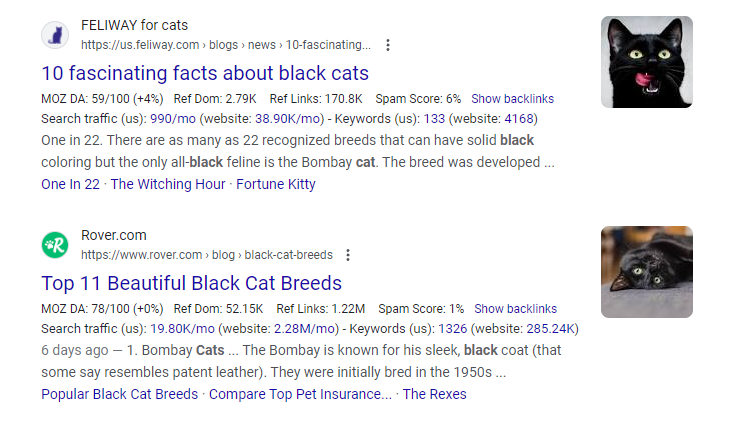 Comparing search results in Keywords Everywhere