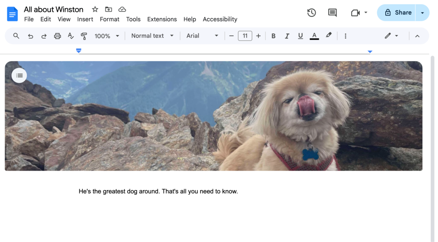 Example of a cover image in Google Docs. 