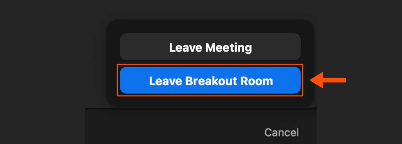 Screenshot of a button you can click in Zoom that says "Leave breakout room"