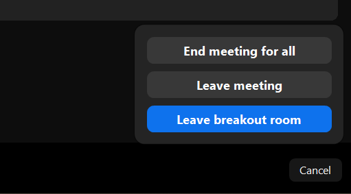 Screenshot of a button you can click in Zoom that says "Leave breakout room"