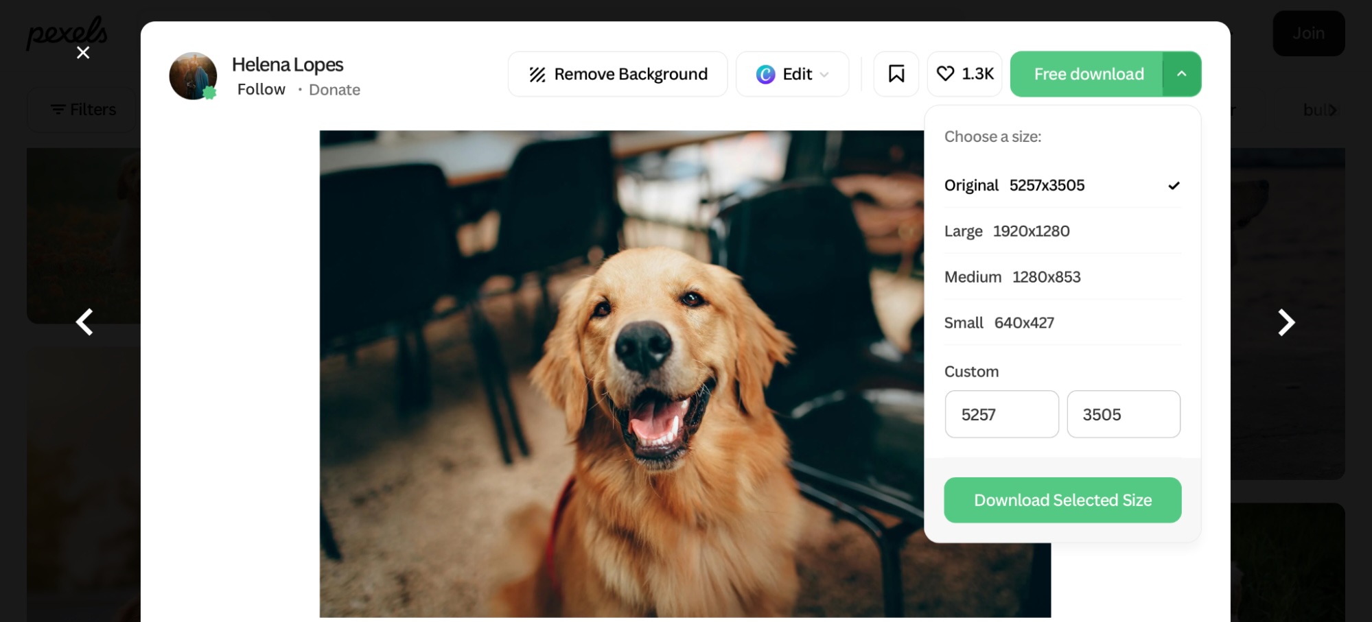 Pexels, our pick for the best free stock photos site for adding simple enhancements and overlays