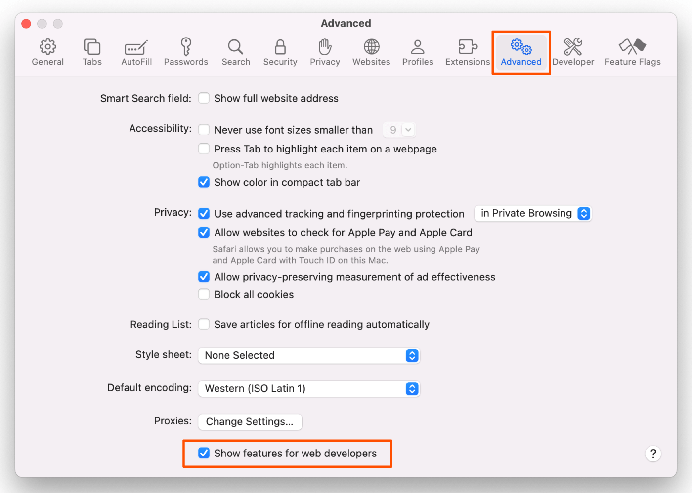 Screenshot of the writer navigating to Advanced in Safari settings 