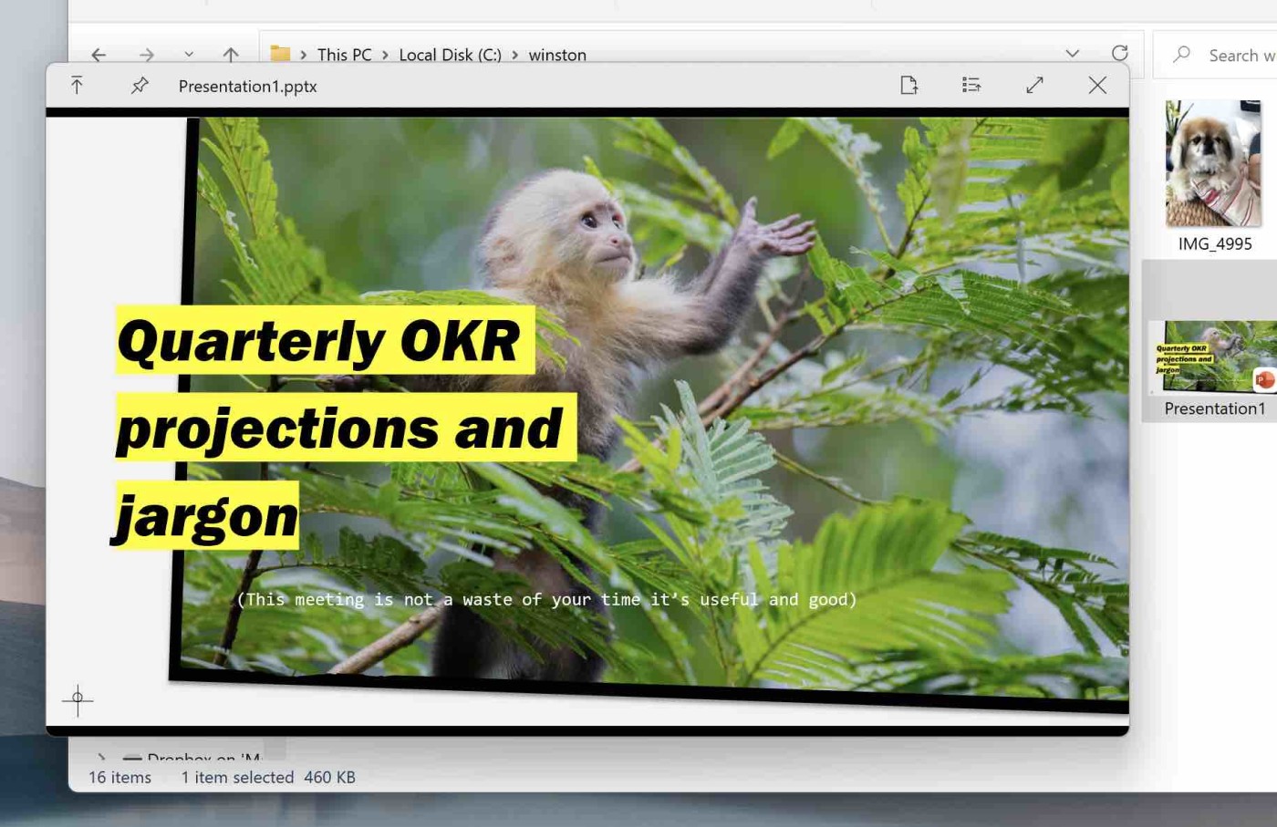 A presentation in QuickLook for Windows