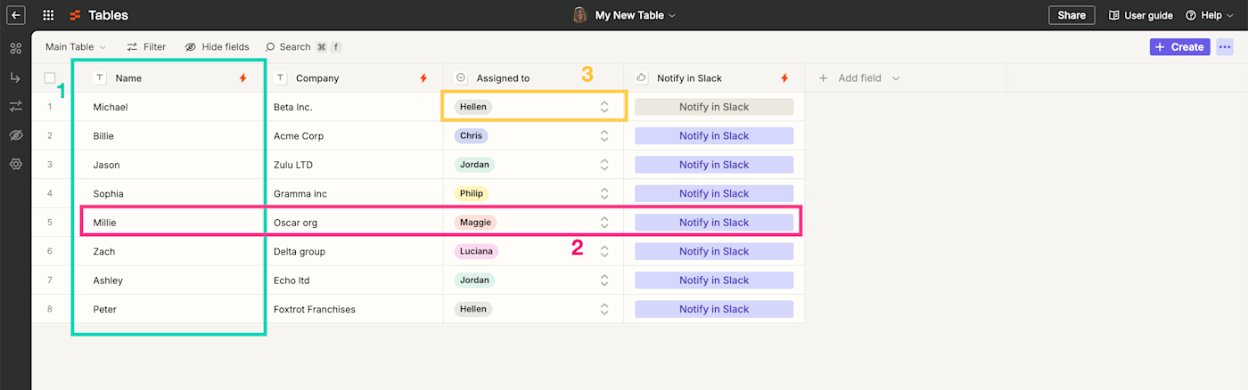 Screenshot of table fields and field values