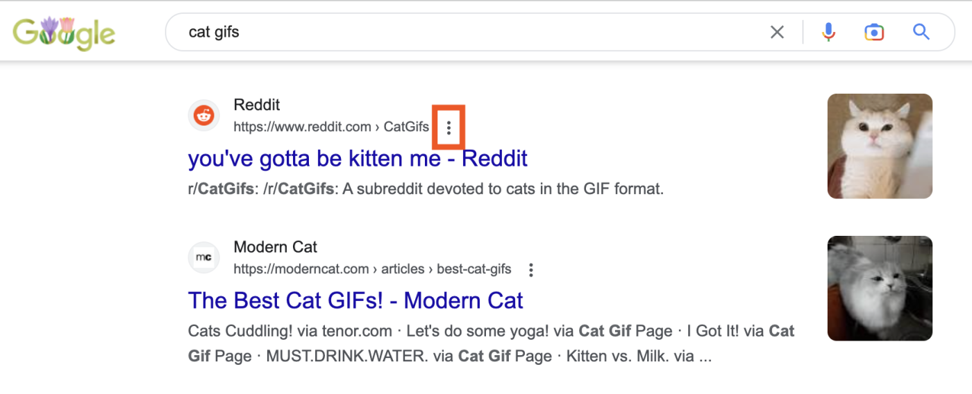 Google Search results for cat gifs. Three dots stacked vertically beside the URL of the first search result is highlighted.