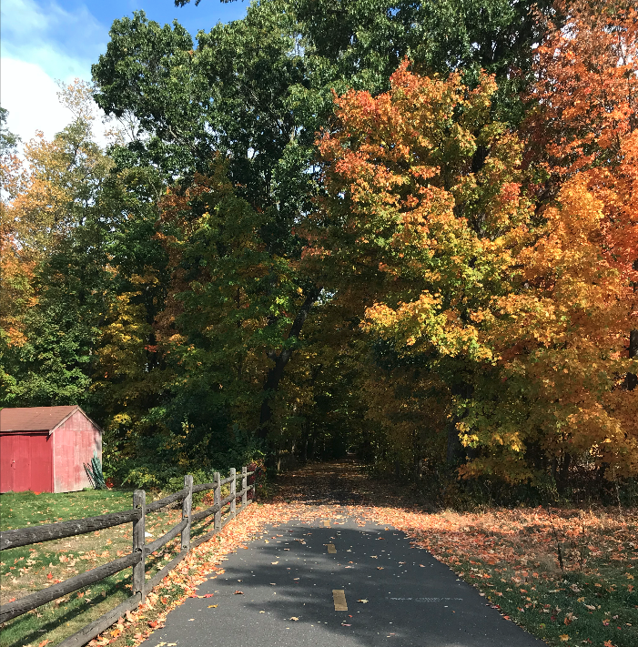 A picture of the trail I was walking on