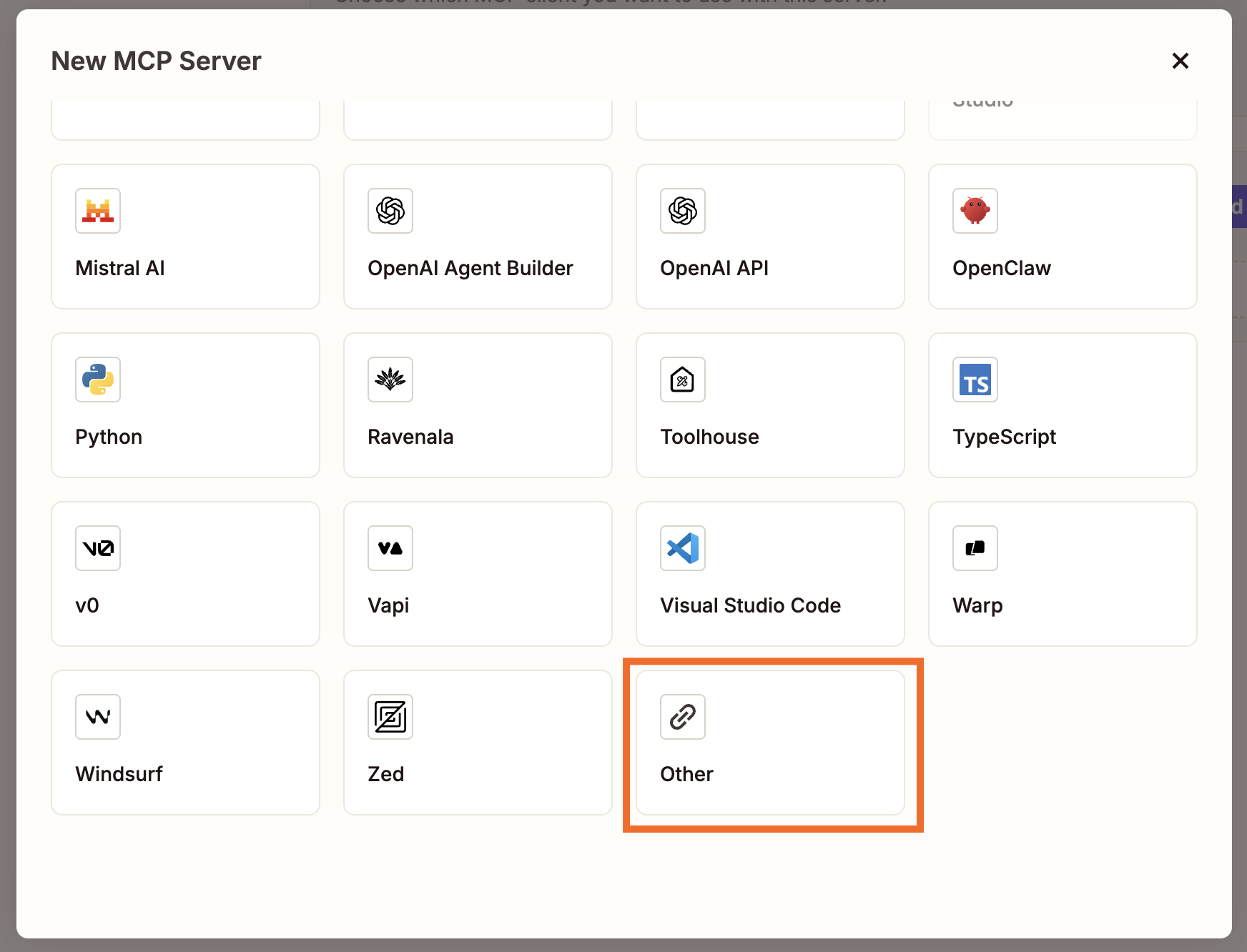 Under New MCP Server, an orange box is shown around Other.