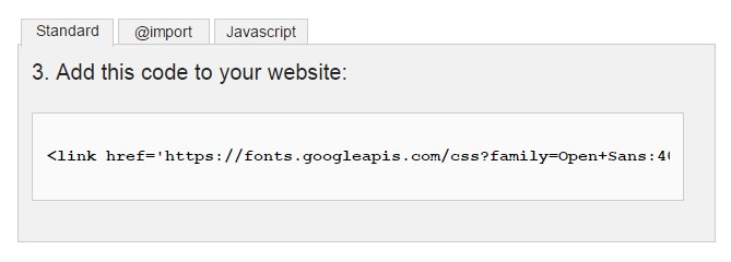 add code google fonts