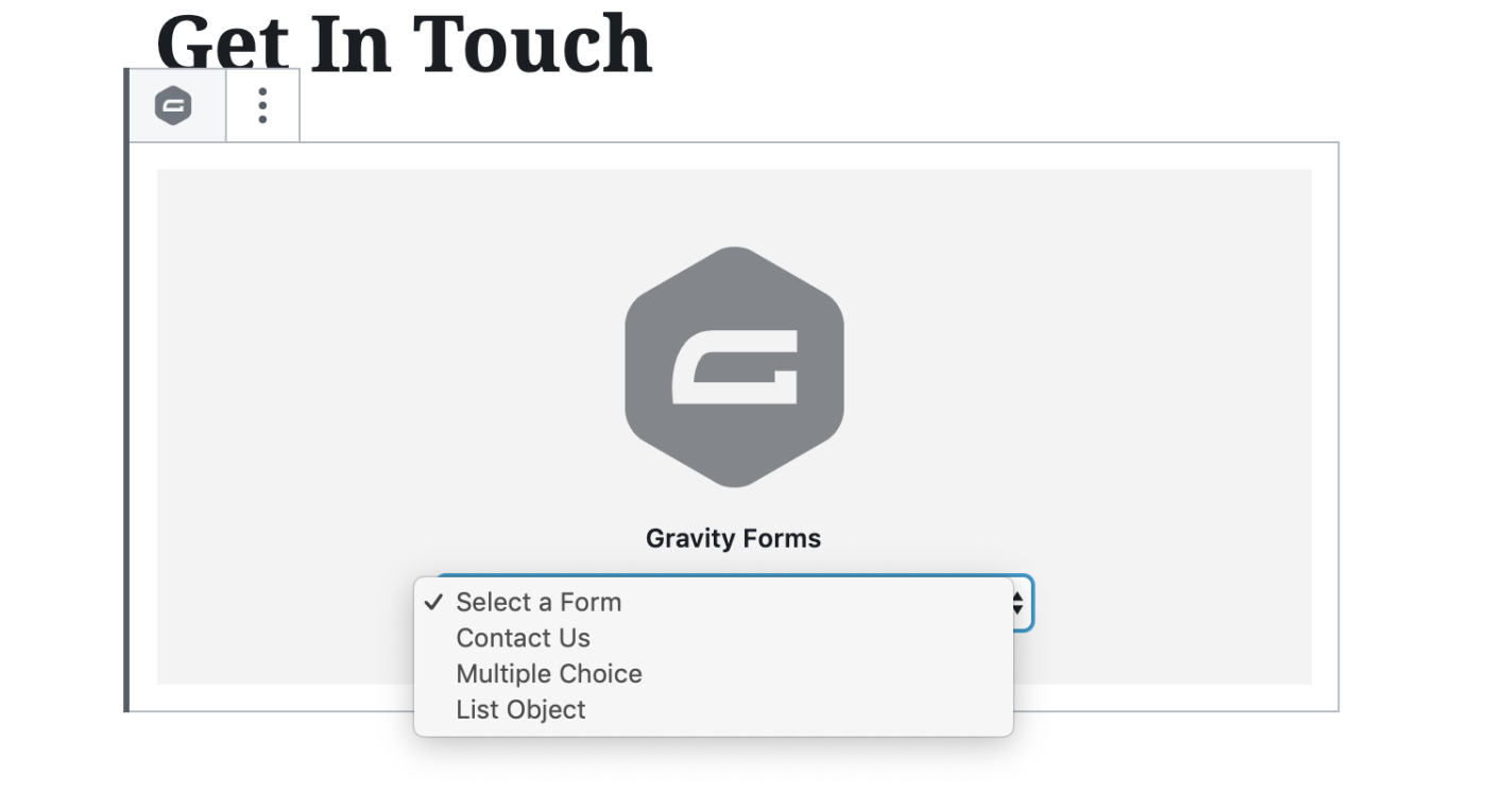 Gravity Forms embed options