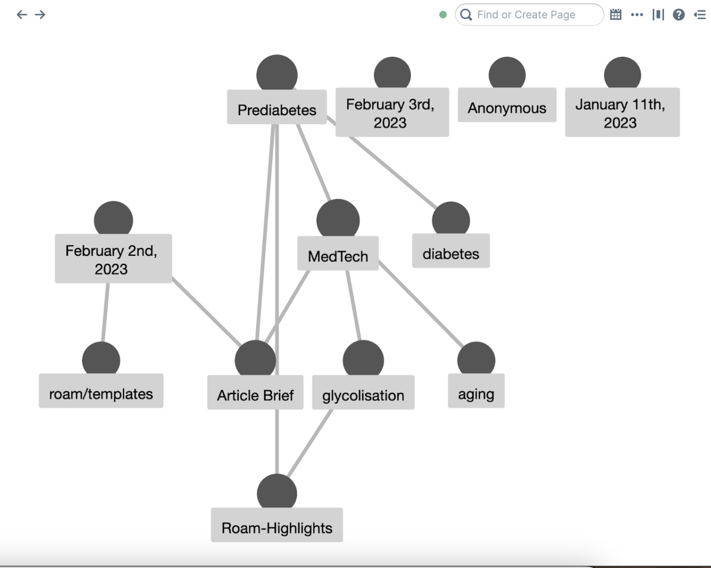 Roam graph visualization