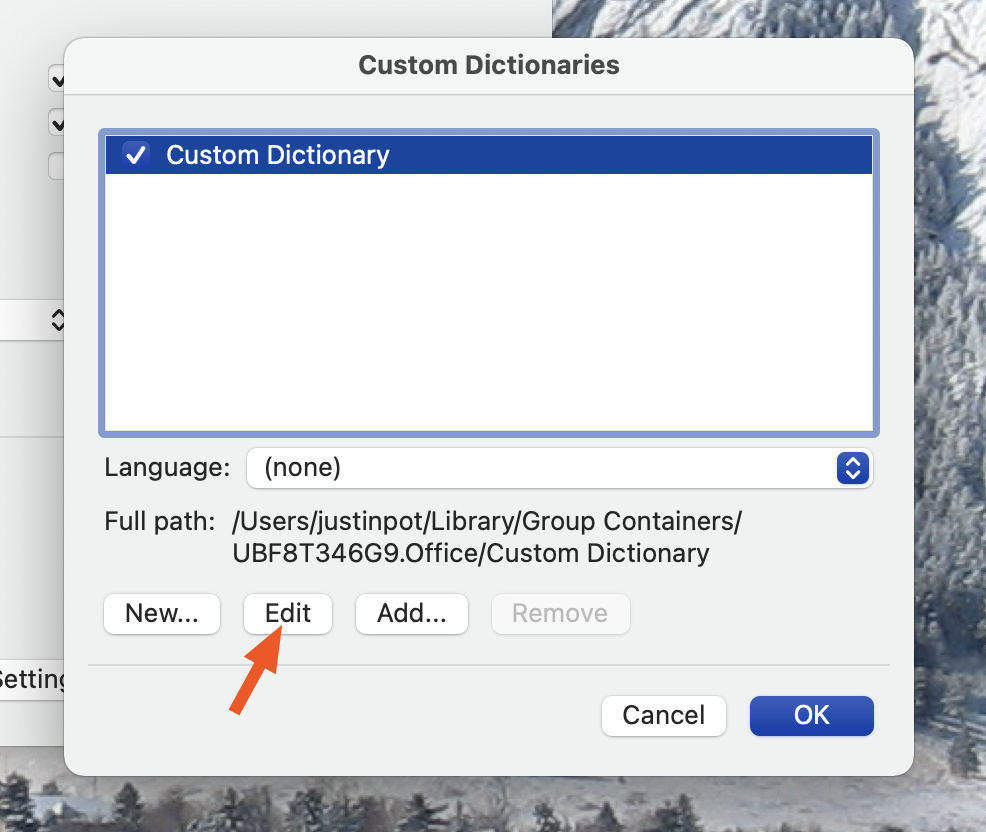unable to add words to custom dictionary in word