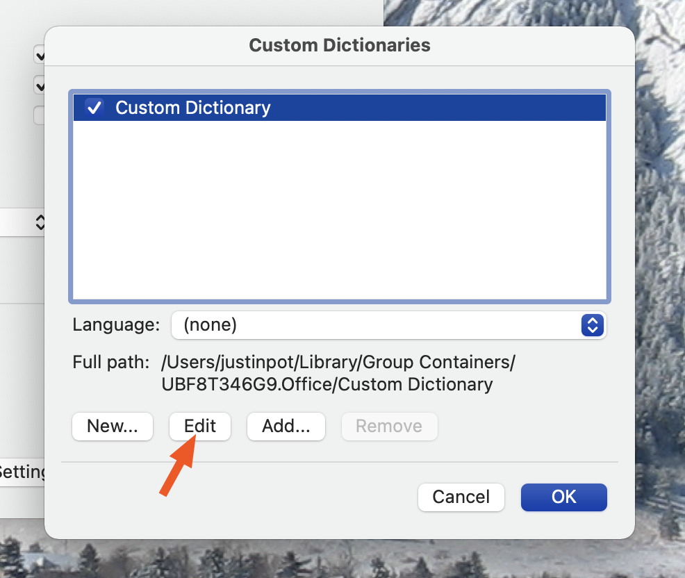 restore custom dictionary in word