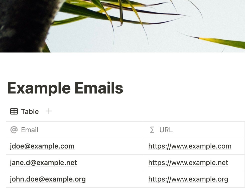 Nadira's Example Emails Notion database