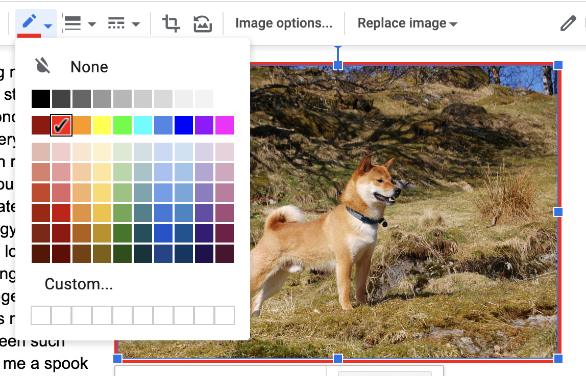 Google Docs image border