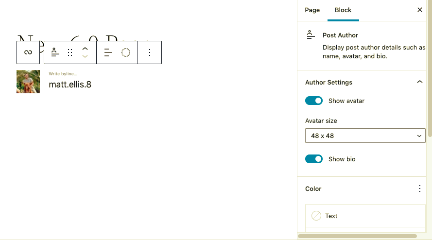 Post Author Biography and Avatar blocks in WordPress 6.0