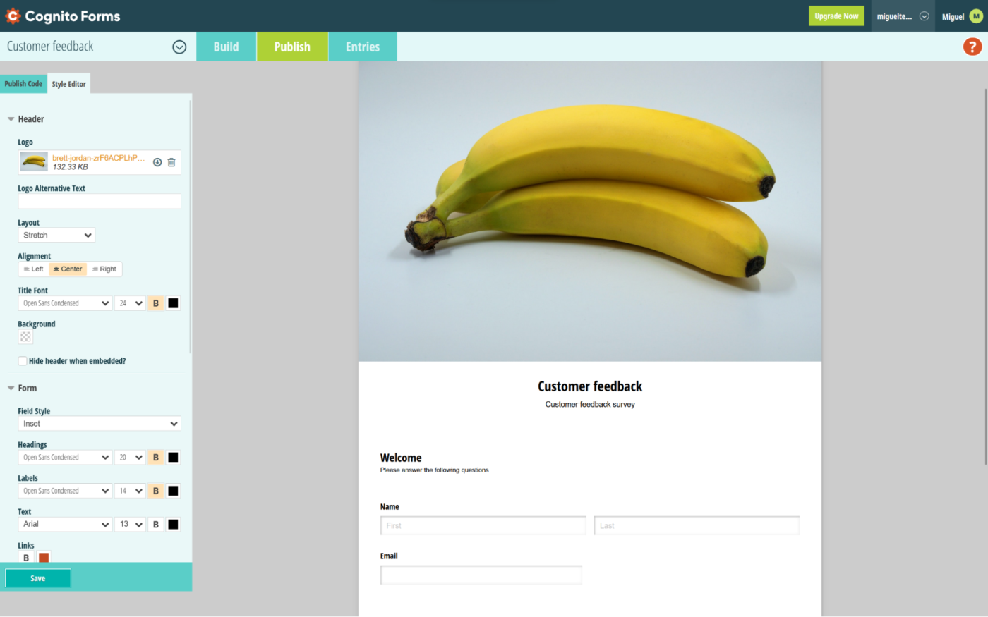Cognito Forms, our pick for the best free form builder for collecting payments on forms