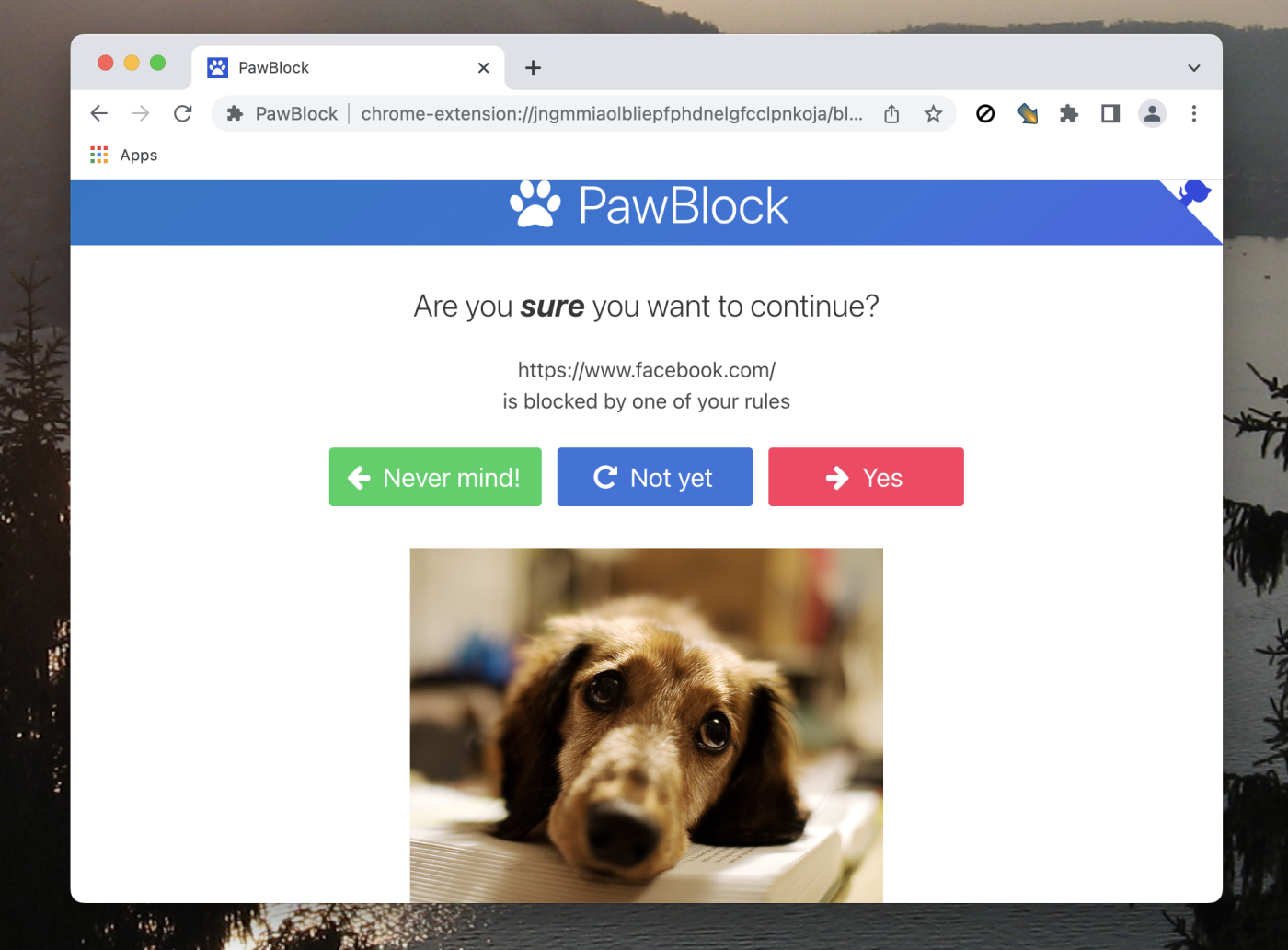 PawBlock, our pick for the best distraction blocking with cute animal pictures