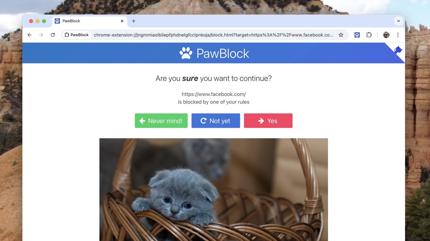 PawBlock, our pick for the best distraction blocking with cute animal pictures