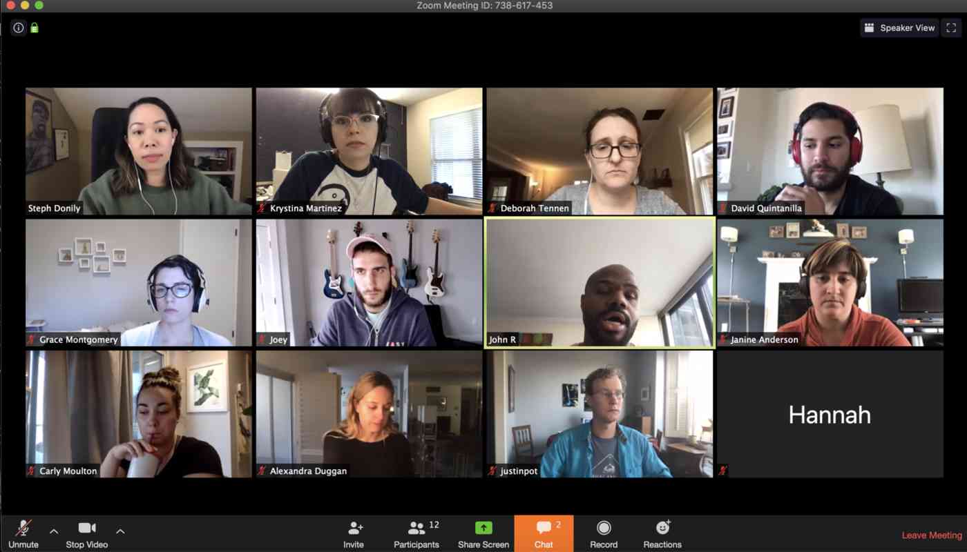 A view of a Zoom video call with the screens of 12 participants arranged on a grid