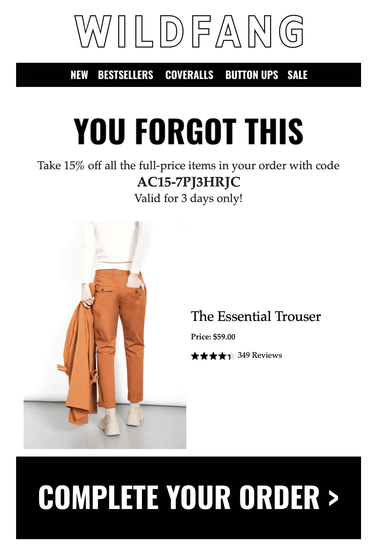 Abandoned cart email from Wildfang.