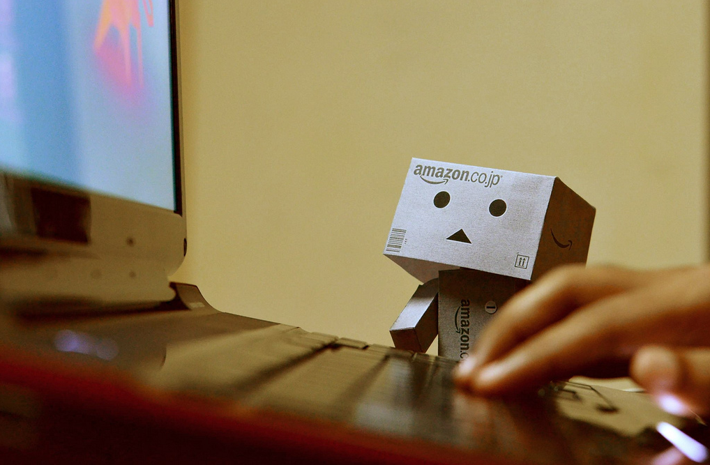 Danbo work