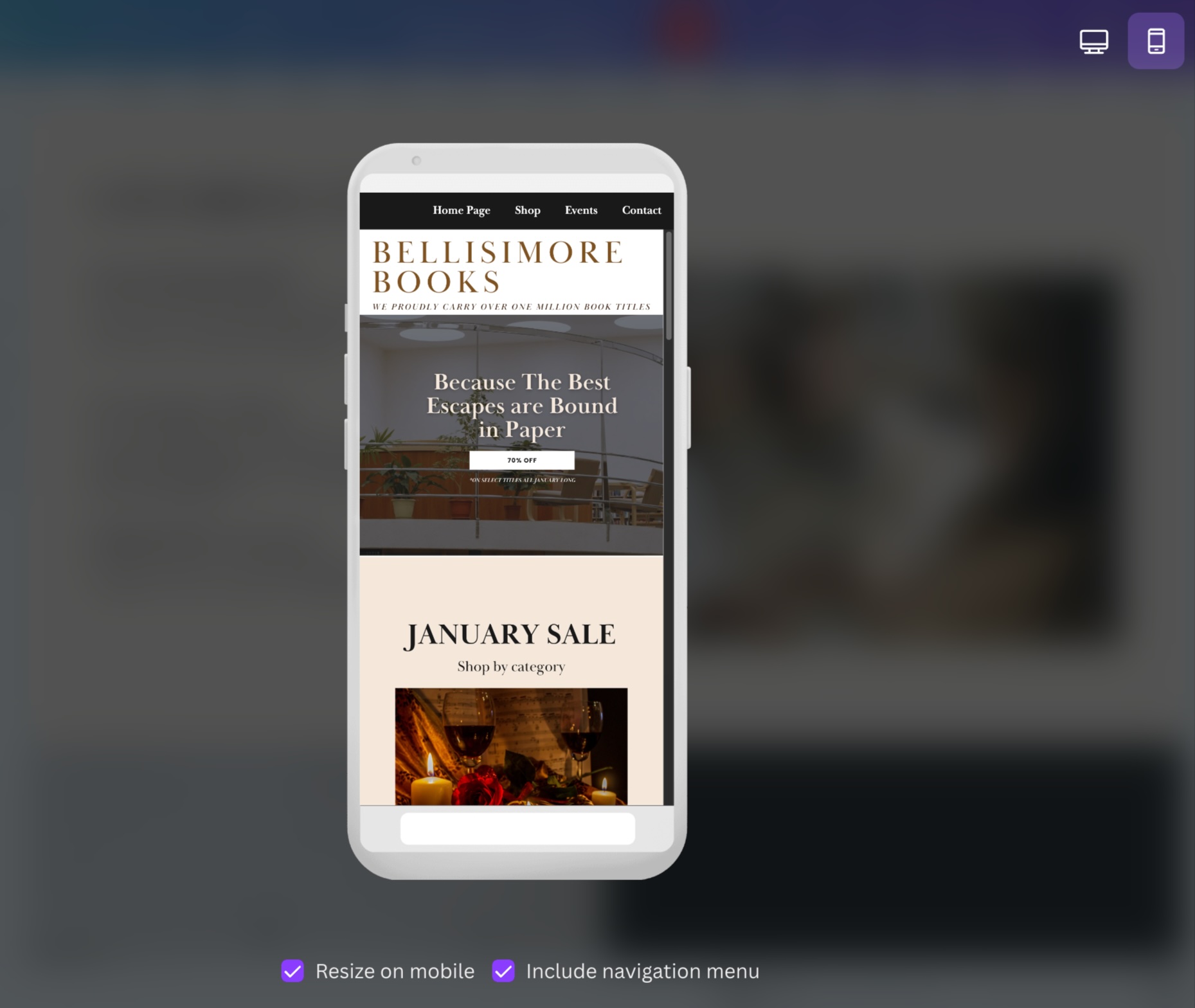 The two checkboxes when previewing your Canva website on mobile