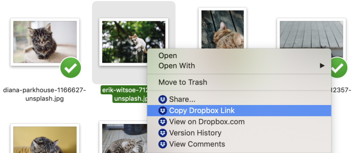 how-to-create-a-dropbox-link-and-share-any-file