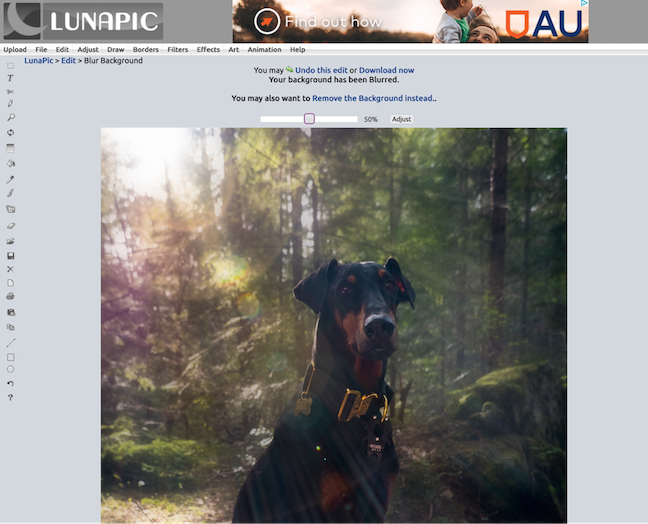 LunaPic, Free Online Photo Editor